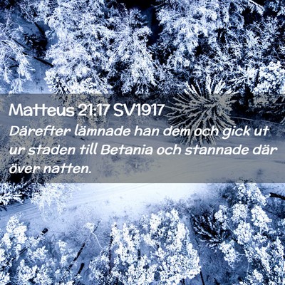 Picture 02 - Matteus 21:17 SV1917 - Därefter lämnade han dem och gick ut ur staden - Bible Verse Picture