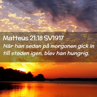 Picture 02 - Matteus 21:18 SV1917 - När han sedan på morgonen gick in till staden - Bible Verse Picture