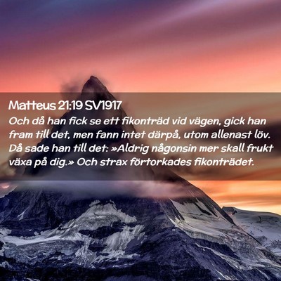 Picture 02 - Matteus 21:19 SV1917 - Och då han fick se ett fikonträd vid vägen, - Bible Verse Picture