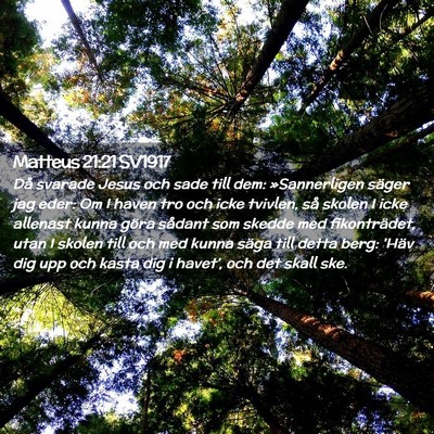 Picture 02 - Matteus 21:21 SV1917 - Då svarade Jesus och sade till dem: - Bible Verse Picture