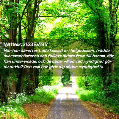 Picture 02 - Matteus 21:23 SV1917 - När han därefter hade kommit in i helgedomen, - Bible Verse Picture