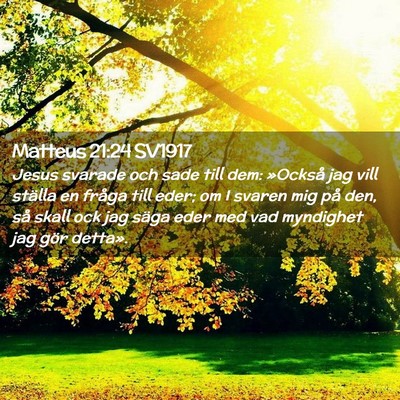 Picture 02 - Matteus 21:24 SV1917 - Jesus svarade och sade till dem: »Också jag - Bible Verse Picture