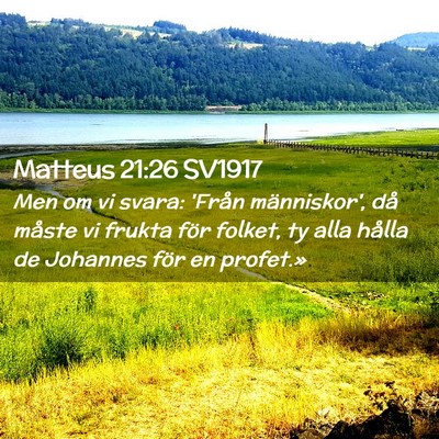 Picture 02 - Matteus 21:26 SV1917 - Men om vi svara: 'Från människor', då måste - Bible Verse Picture