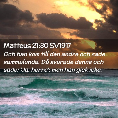 Picture 02 - Matteus 21:30 SV1917 - Och han kom till den andre och sade sammalunda. - Bible Verse Picture