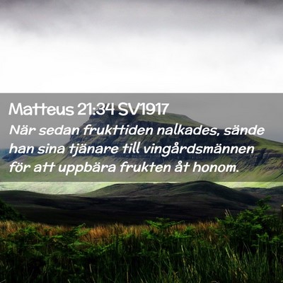 Picture 02 - Matteus 21:34 SV1917 - När sedan frukttiden nalkades, sände han sina - Bible Verse Picture