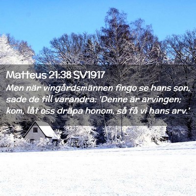 Picture 02 - Matteus 21:38 SV1917 - Men när vingårdsmännen fingo se hans son, sade - Bible Verse Picture