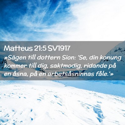 Picture 02 - Matteus 21:5 SV1917 - »Sägen till dottern Sion: 'Se, din konung - Bible Verse Picture