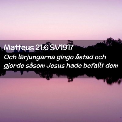 Picture 02 - Matteus 21:6 SV1917 - Och lärjungarna gingo åstad och gjorde såsom - Bible Verse Picture
