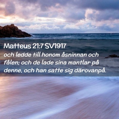 Picture 02 - Matteus 21:7 SV1917 - och ledde till honom åsninnan och fålen; och de - Bible Verse Picture