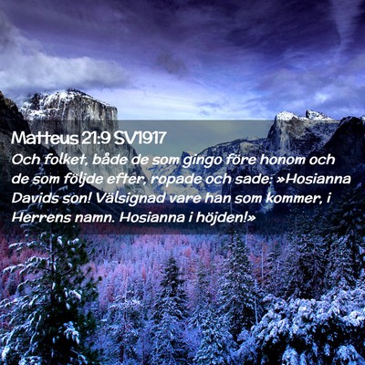 Picture 02 - Matteus 21:9 SV1917 - Och folket, både de som gingo före honom och de - Bible Verse Picture