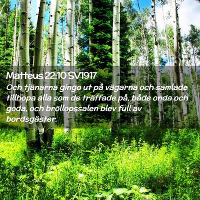 Picture 02 - Matteus 22:10 SV1917 - Och tjänarna gingo ut på vägarna och samlade - Bible Verse Picture