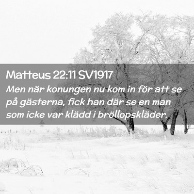 Picture 02 - Matteus 22:11 SV1917 - Men när konungen nu kom in för att se på - Bible Verse Picture