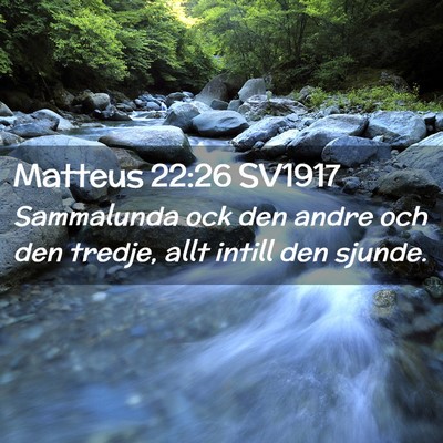 Picture 02 - Matteus 22:26 SV1917 - Sammalunda ock den andre och den tredje, allt - Bible Verse Picture