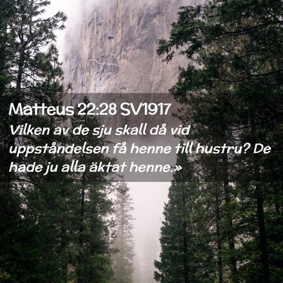 Picture 02 - Matteus 22:28 SV1917 - Vilken av de sju skall då vid uppståndelsen få - Bible Verse Picture