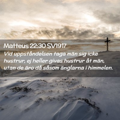Picture 02 - Matteus 22:30 SV1917 - Vid uppståndelsen taga män sig icke hustrur, ej - Bible Verse Picture