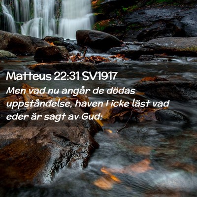 Picture 02 - Matteus 22:31 SV1917 - Men vad nu angår de dödas uppståndelse, haven - Bible Verse Picture