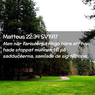 Picture 02 - Matteus 22:34 SV1917 - Men när fariséerna fingo höra att han hade - Bible Verse Picture