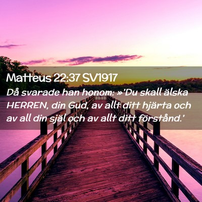 Picture 02 - Matteus 22:37 SV1917 - Då svarade han honom: »'Du skall älska HERREN, - Bible Verse Picture