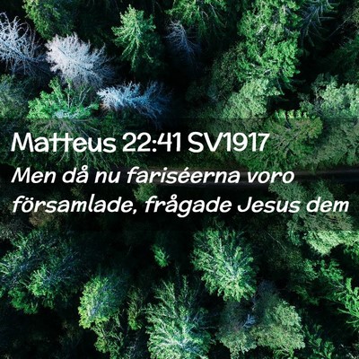Picture 02 - Matteus 22:41 SV1917 - Men då nu fariséerna voro församlade, frågade - Bible Verse Picture