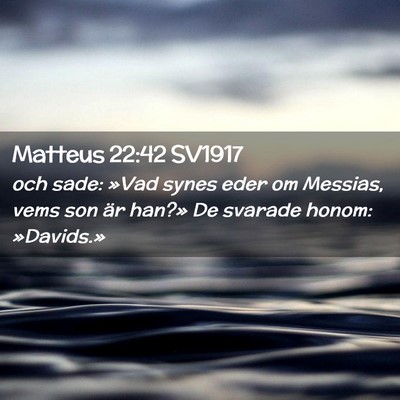 Picture 02 - Matteus 22:42 SV1917 - och sade: »Vad synes eder om Messias, vems son - Bible Verse Picture