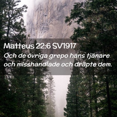 Picture 02 - Matteus 22:6 SV1917 - Och de övriga grepo hans tjänare och - Bible Verse Picture