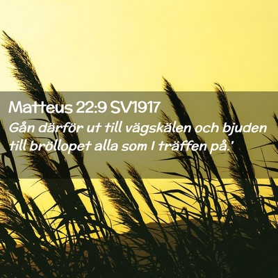 Picture 02 - Matteus 22:9 SV1917 - Gån därför ut till vägskälen och bjuden till - Bible Verse Picture