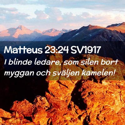 Picture 02 - Matteus 23:24 SV1917 - I blinde ledare, som silen bort myggan och - Bible Verse Picture