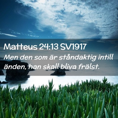 Picture 02 - Matteus 24:13 SV1917 - Men den som är ståndaktig intill änden, han - Bible Verse Picture