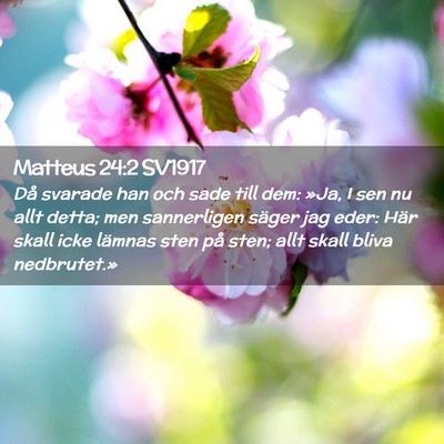 Picture 02 - Matteus 24:2 SV1917 - Då svarade han och sade till dem: »Ja, I sen nu - Bible Verse Picture