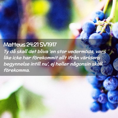 Picture 02 - Matteus 24:21 SV1917 - Ty då skall det bliva 'en stor vedermöda, vars - Bible Verse Picture