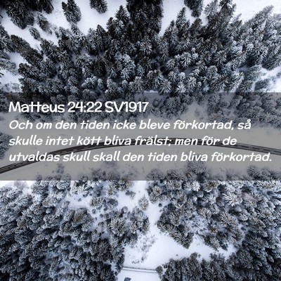 Picture 02 - Matteus 24:22 SV1917 - Och om den tiden icke bleve förkortad, så - Bible Verse Picture