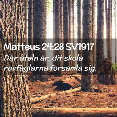 Picture 02 - Matteus 24:28 SV1917 - Där åteln är, dit skola rovfåglarna församla - Bible Verse Picture