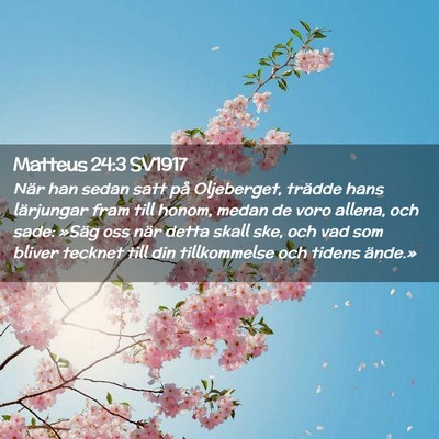 Picture 02 - Matteus 24:3 SV1917 - När han sedan satt på Oljeberget, trädde hans - Bible Verse Picture