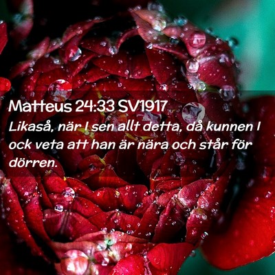 Picture 02 - Matteus 24:33 SV1917 - Likaså, när I sen allt detta, då kunnen I ock - Bible Verse Picture