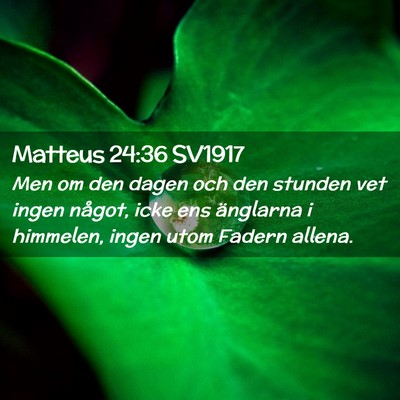 Picture 02 - Matteus 24:36 SV1917 - Men om den dagen och den stunden vet ingen - Bible Verse Picture