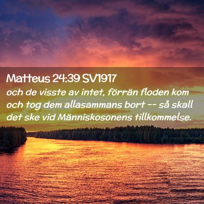 Picture 02 - Matteus 24:39 SV1917 - och de visste av intet, förrän floden kom och - Bible Verse Picture