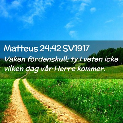 Picture 02 - Matteus 24:42 SV1917 - Vaken fördenskull; ty I veten icke vilken dag - Bible Verse Picture