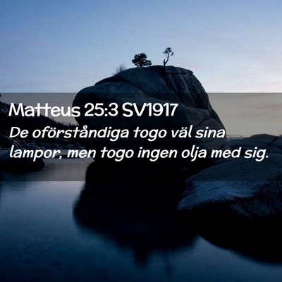 Picture 02 - Matteus 25:3 SV1917 - De oförståndiga togo väl sina lampor, men togo - Bible Verse Picture