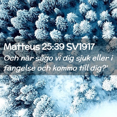 Picture 02 - Matteus 25:39 SV1917 - Och när sågo vi dig sjuk eller i fängelse och - Bible Verse Picture