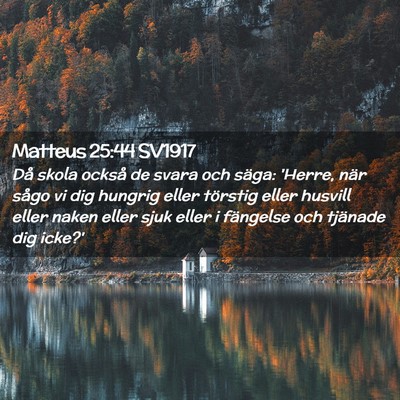 Picture 02 - Matteus 25:44 SV1917 - Då skola också de svara och säga: 'Herre, när - Bible Verse Picture