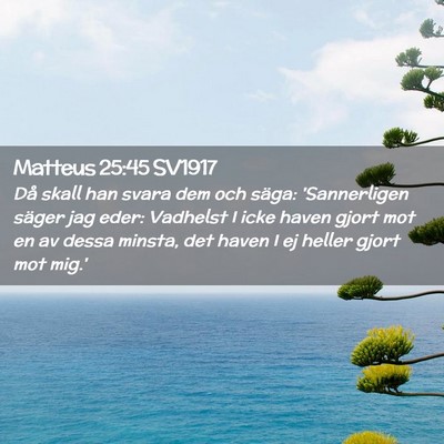 Picture 02 - Matteus 25:45 SV1917 - Då skall han svara dem och säga: 'Sannerligen - Bible Verse Picture