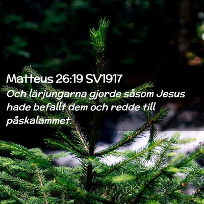 Picture 02 - Matteus 26:19 SV1917 - Och lärjungarna gjorde såsom Jesus hade befallt - Bible Verse Picture