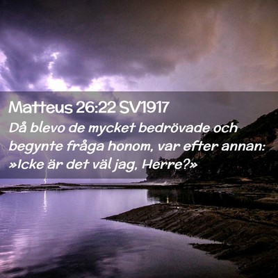 Picture 02 - Matteus 26:22 SV1917 - Då blevo de mycket bedrövade och begynte fråga - Bible Verse Picture