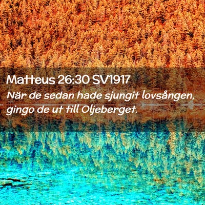 Picture 02 - Matteus 26:30 SV1917 - När de sedan hade sjungit lovsången, gingo de - Bible Verse Picture