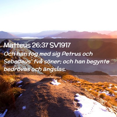 Picture 02 - Matteus 26:37 SV1917 - Och han tog med sig Petrus och Sebedeus' två - Bible Verse Picture
