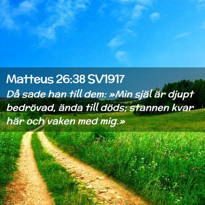 Picture 02 - Matteus 26:38 SV1917 - Då sade han till dem: »Min själ är djupt - Bible Verse Picture