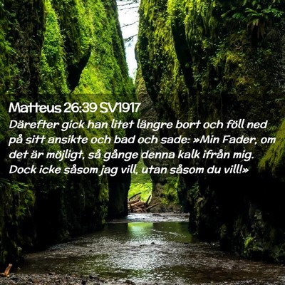 Picture 02 - Matteus 26:39 SV1917 - Därefter gick han litet längre bort och föll - Bible Verse Picture