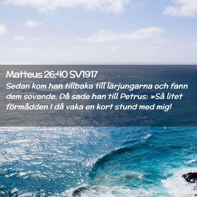 Picture 02 - Matteus 26:40 SV1917 - Sedan kom han tillbaka till lärjungarna och fann - Bible Verse Picture
