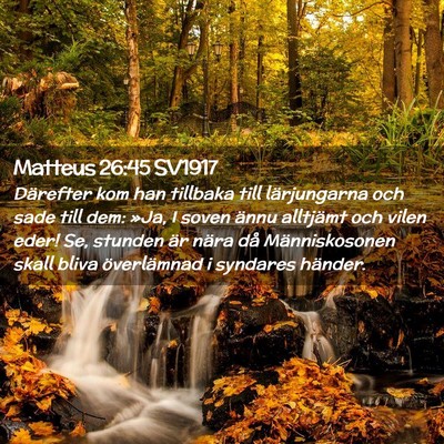 Picture 02 - Matteus 26:45 SV1917 - Därefter kom han tillbaka till lärjungarna och - Bible Verse Picture