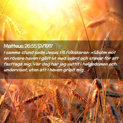 Picture 02 - Matteus 26:55 SV1917 - I samma stund sade Jesus till folkskaran: - Bible Verse Picture